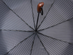Зонт  женский Sponsa, арт.3515-3_product
